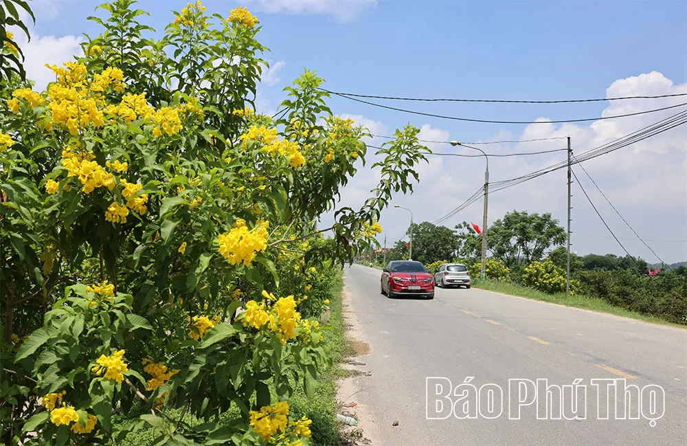 Rực rỡ cờ hoa mừng Quốc khánh