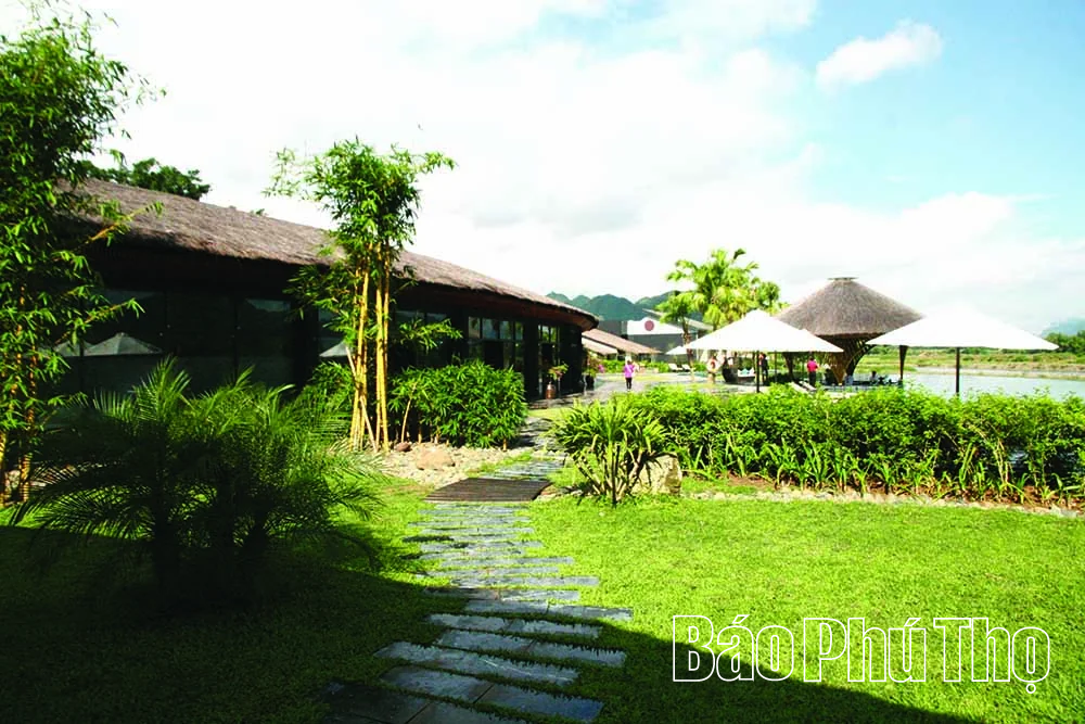 Serena Resort Kim Bôi - “Ốc đảo xanh” giữa núi rừng
