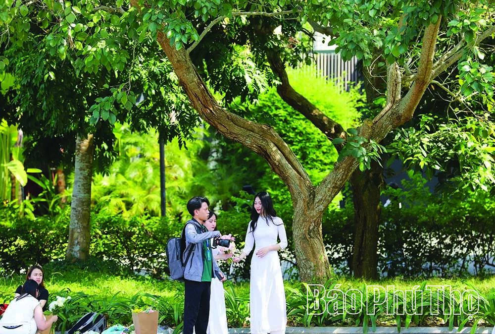 Serena Resort Kim Bôi - “Ốc đảo xanh” giữa núi rừng