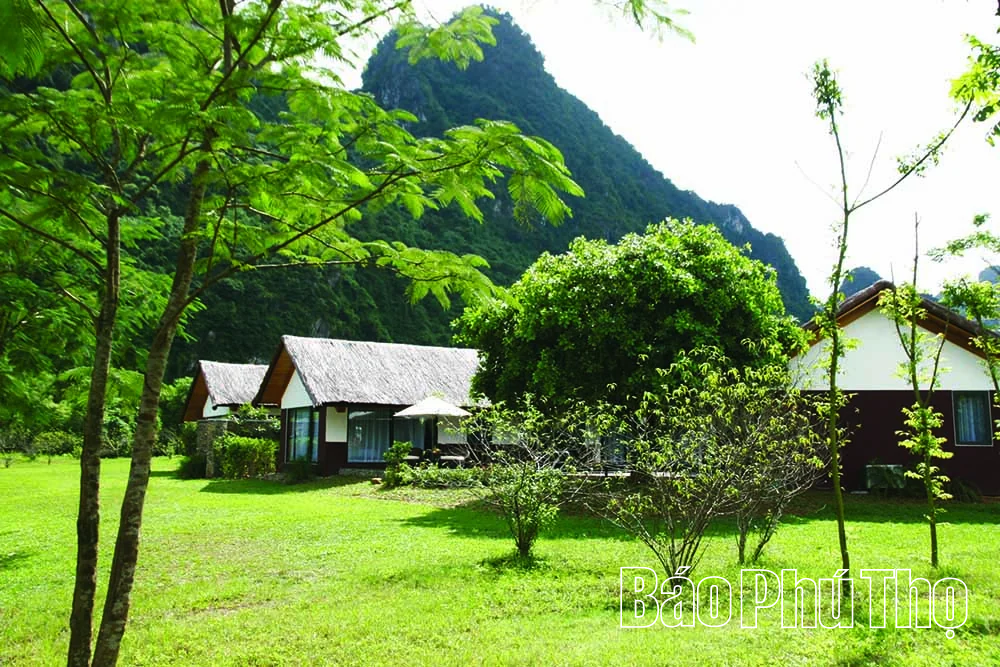 Serena Resort Kim Bôi - “Ốc đảo xanh” giữa núi rừng