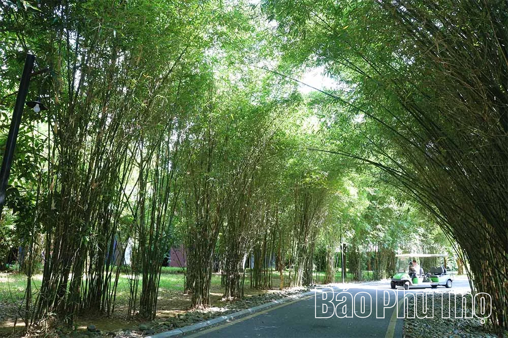 Serena Resort Kim Bôi - “Ốc đảo xanh” giữa núi rừng