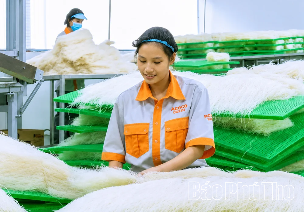 Xã Yên Lạc lấy khoa học, công nghệ và chuyển đổi số làm đòn bẩy phát triển kinh tế
