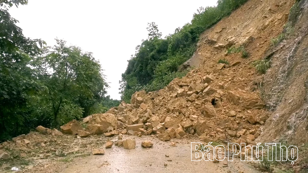 Lạc Lương chủ động ứng phó với thiên tai