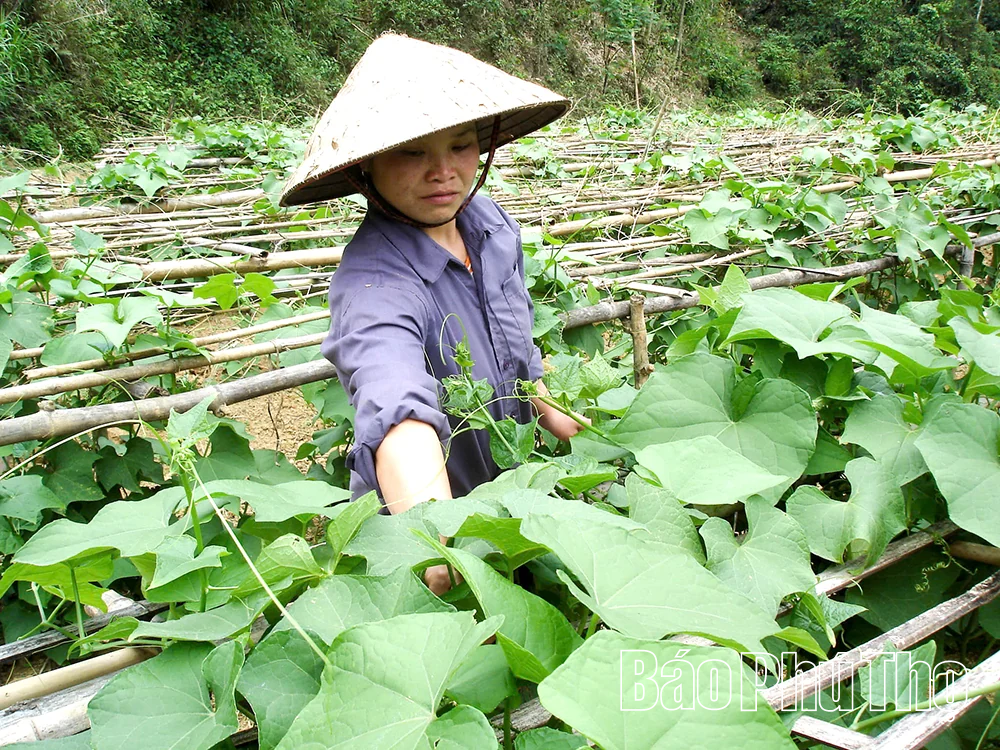 Công nghệ tiếp sức tăng trưởng