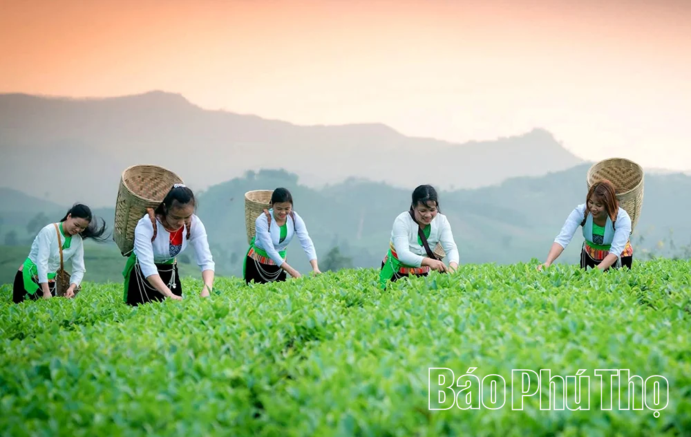 Phú Thọ đón khoảng 350.000 lượt khách du lịch trong 5 ngày nghỉ lễ Quốc khánh 2/9