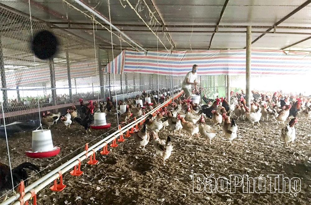 Từ “đốm lửa” Hoàng Đồng đã nhen lên ngọn lửa phong trào Cách mạng ở vùng đất “bốn Mường”