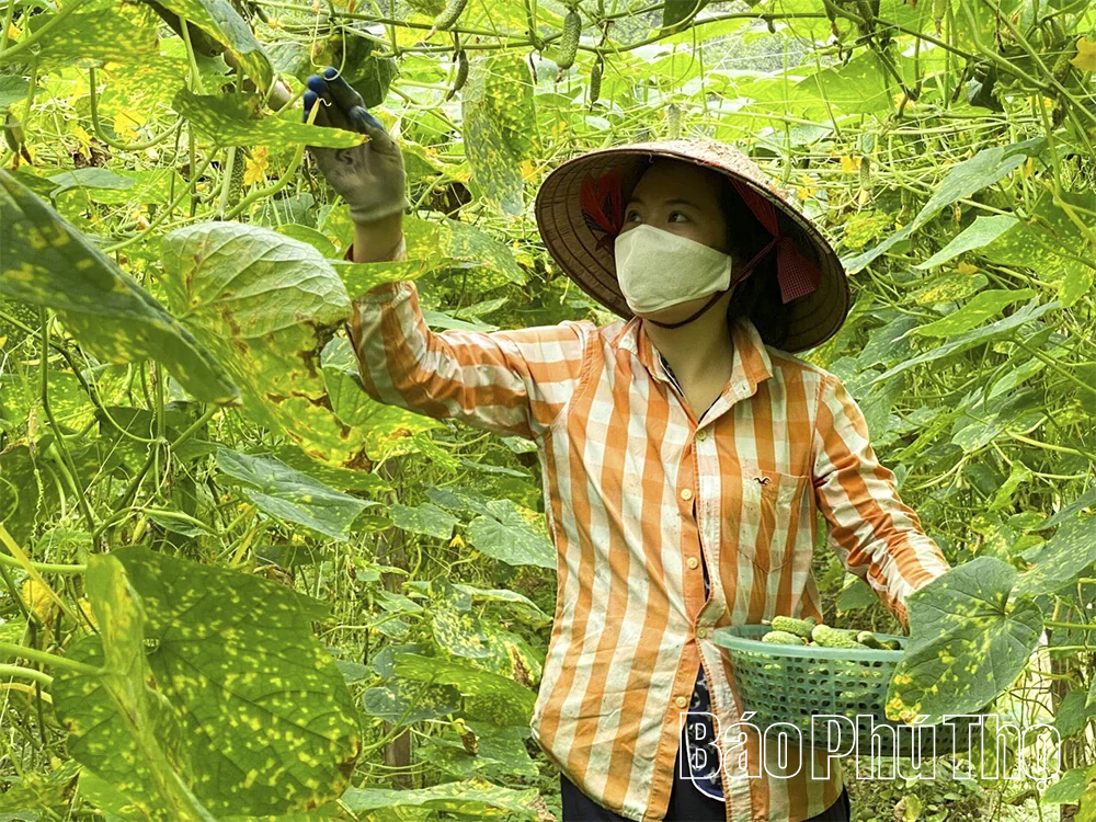Từ “đốm lửa” Hoàng Đồng đã nhen lên ngọn lửa phong trào Cách mạng ở vùng đất “bốn Mường”