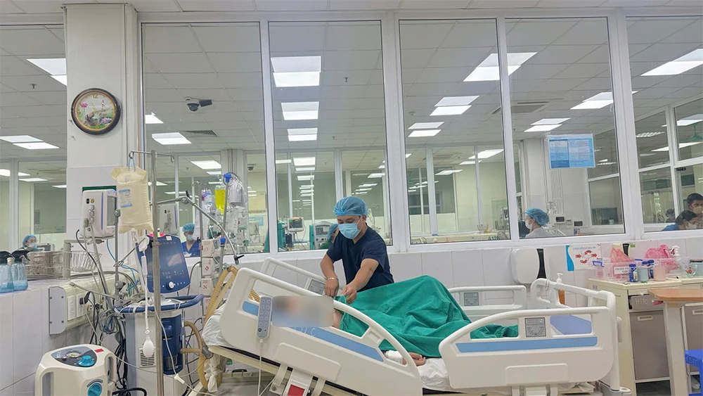 Cẩn trọng với vết đốt hoặc vết loét, phòng tránh sốc nhiễm khuẩn