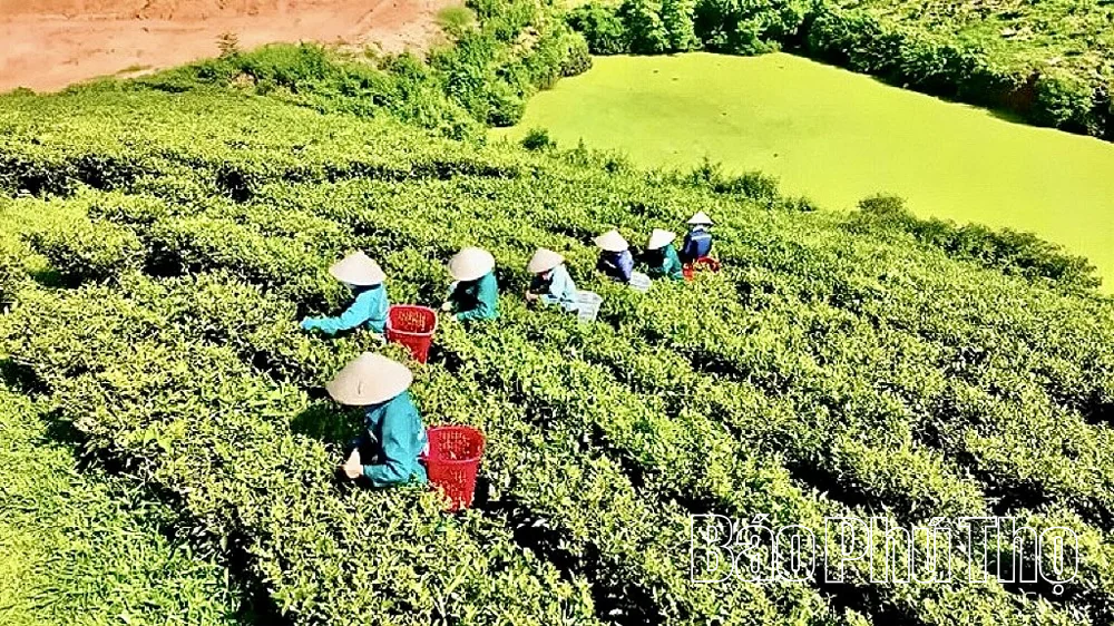 Đường lớn cho kinh tế tư nhân - Kỳ 2: Khơi dòng nguồn lực