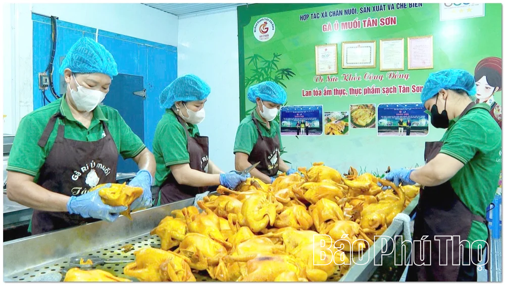 Mở rộng thị trường cho sản phẩm OCOP Minh Đài