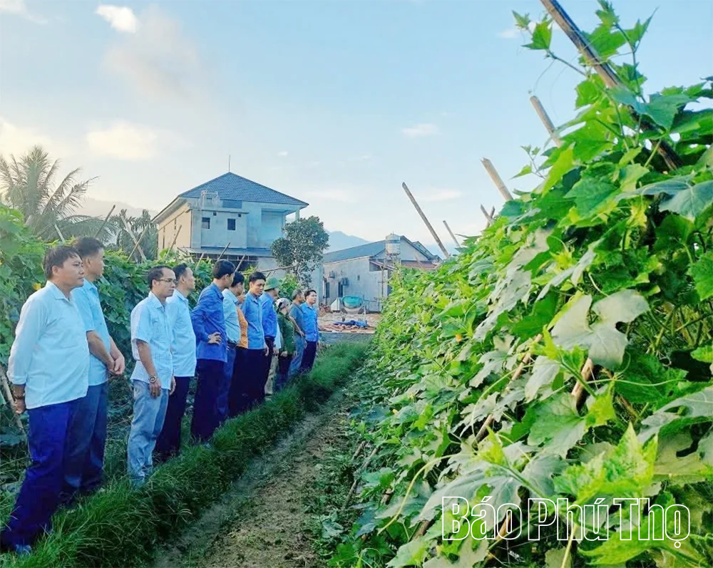 Sơn Lương: Đánh thức tiềm năng kinh tế nông nghiệp