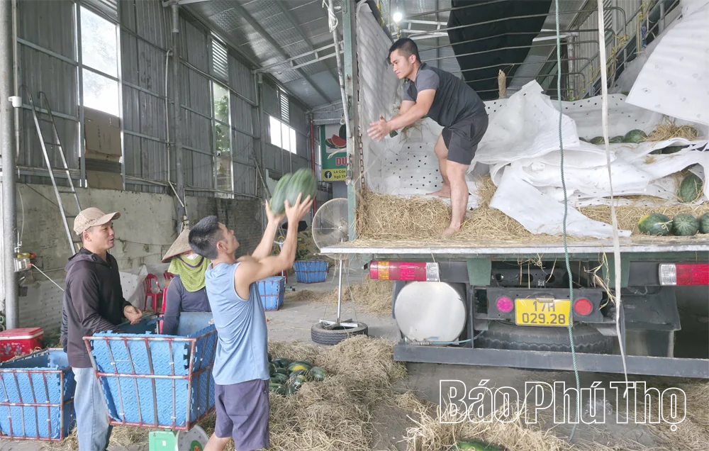 Vĩnh Hưng tạo đà phát triển