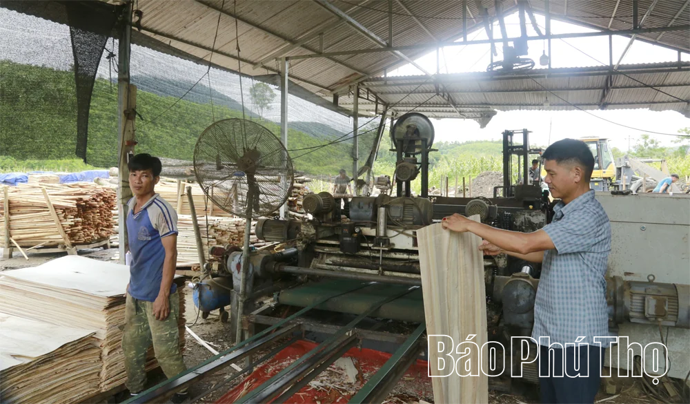 Thủ lĩnh hạ sơn - Kỳ 2: Những phú nông trên đất khó