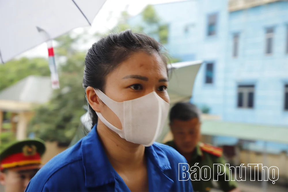 Lừa đảo chiếm đoạt hơn 24,8 tỷ đồng, bị kết án tù chung thân
