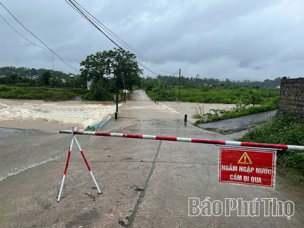 Phú Thọ di dời 114 hộ dân ra khỏi khu vực có nguy cơ sạt lở, ngập úng nguy hiểm