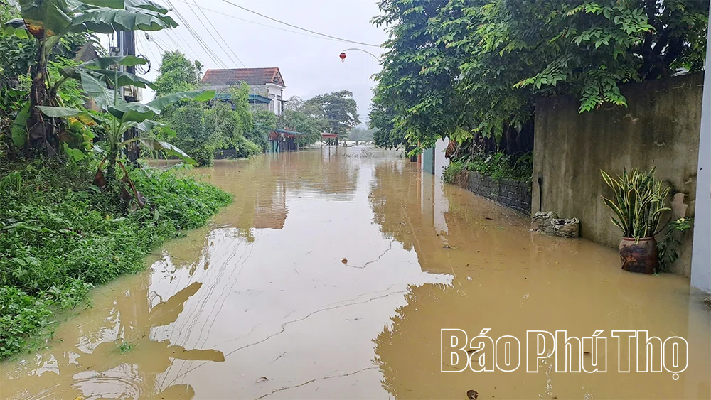 Lũ trên sông Bôi vượt mức báo động 3, gây ngập lụt vùng trũng thấp ven sông