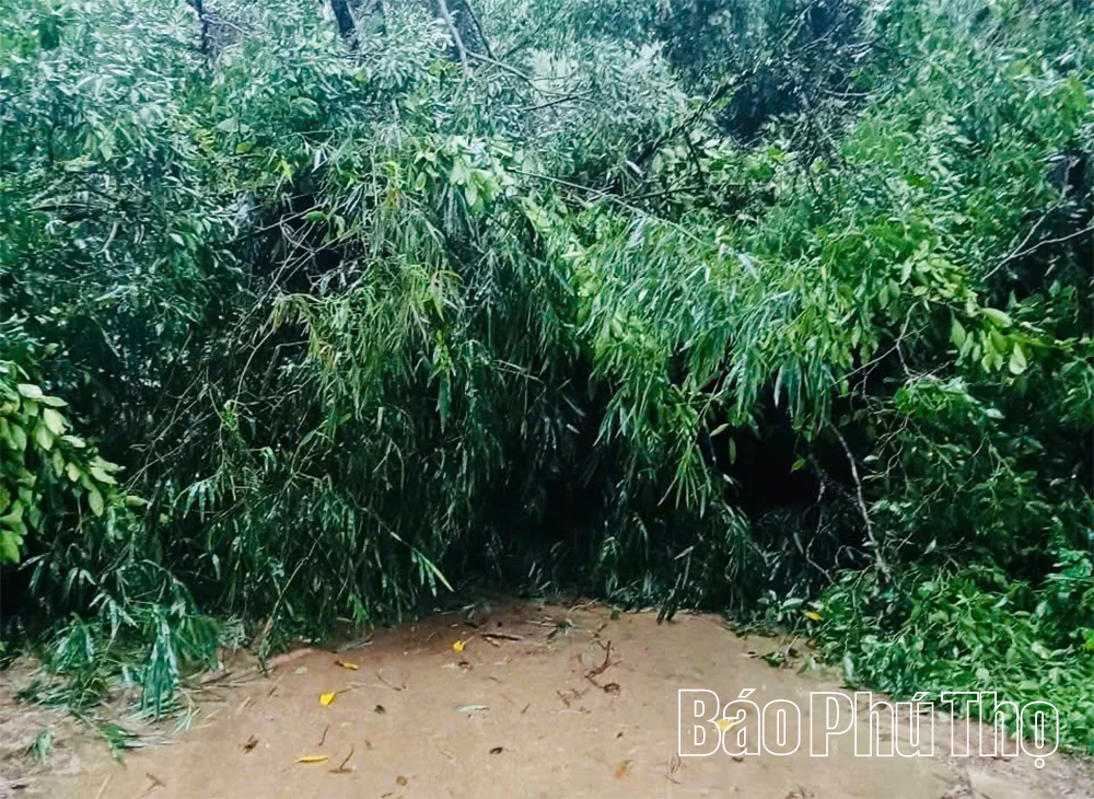 Mưa lớn, 4 ngầm tại xã Toàn Thắng bị ngập sâu