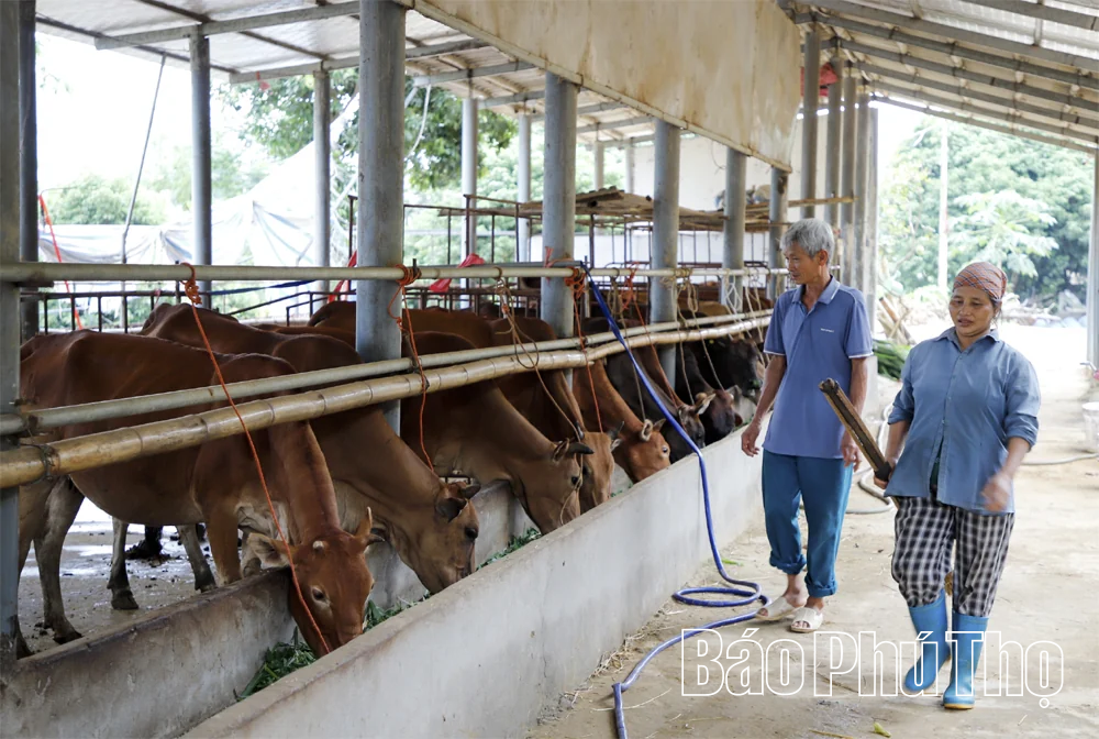 Tỷ phú nông dân giữa lòng phố thị