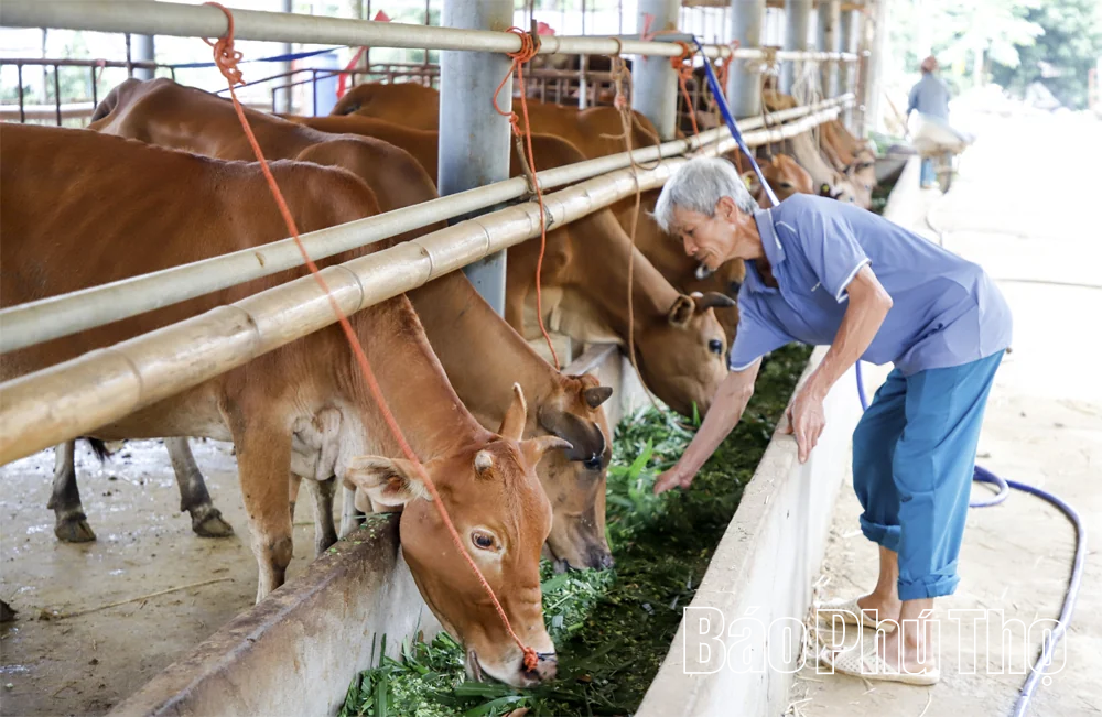 Tỷ phú nông dân giữa lòng phố thị