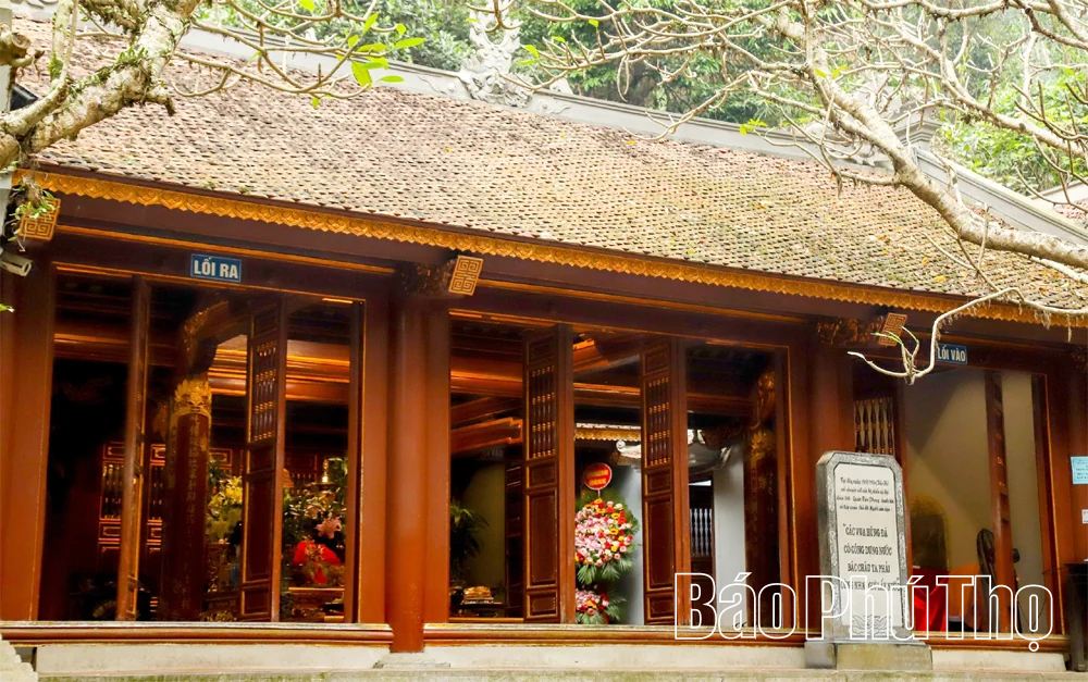 Sức mạnh từ nguồn cội