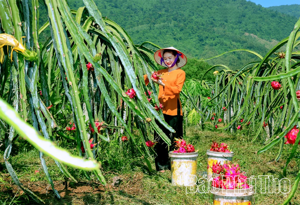Nông nghiệp tuần hoàn - lực đẩy phát triển bền vững