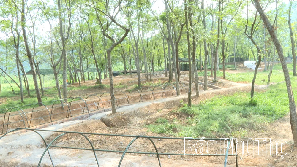 Trung đoàn 753 tích cực chuẩn bị cho diễn tập động viên