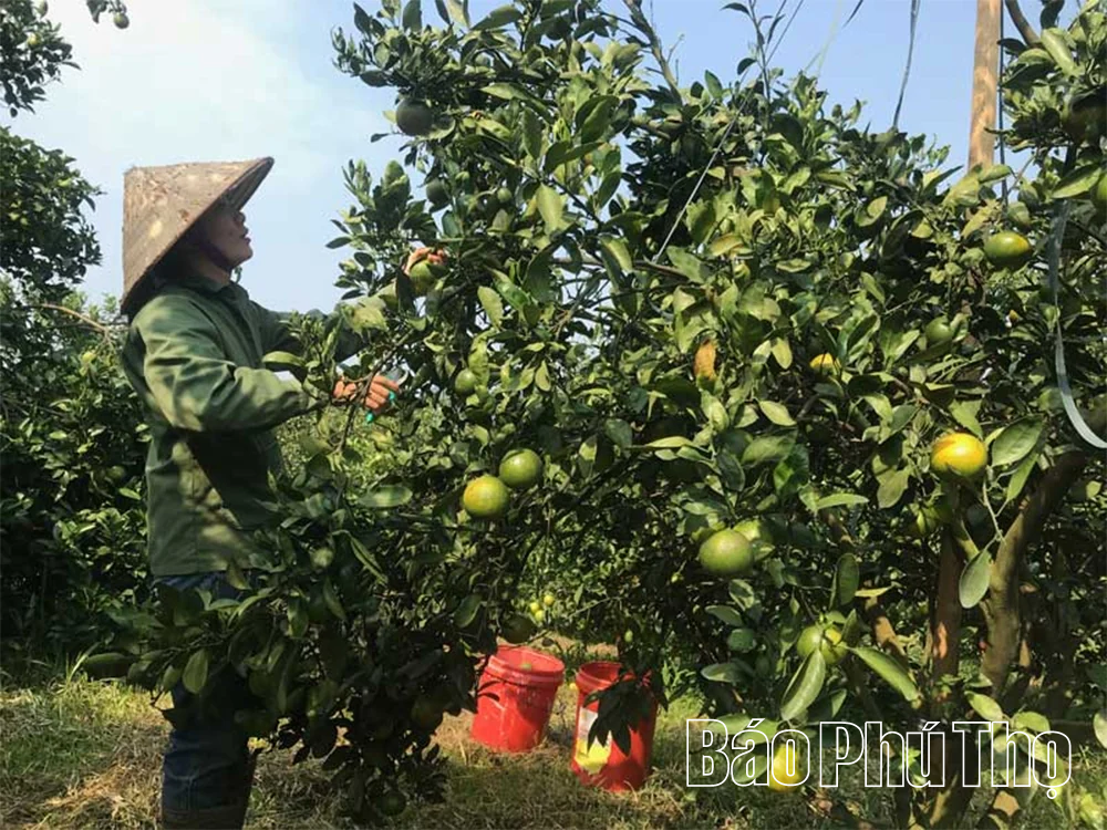 Đưa đặc sản địa phương vào chuỗi giá trị du lịch