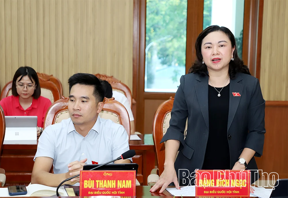 Giám sát việc thực hiện chính sách, pháp luật trong quản lý nhà nước về đô thị