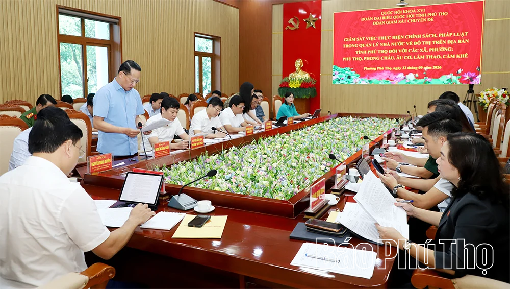 Giám sát việc thực hiện chính sách, pháp luật trong quản lý nhà nước về đô thị