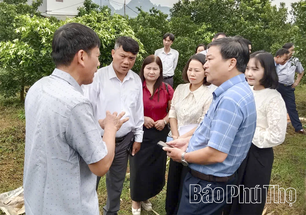 Khi khoa học công nghệ đồng hành cùng sản xuất