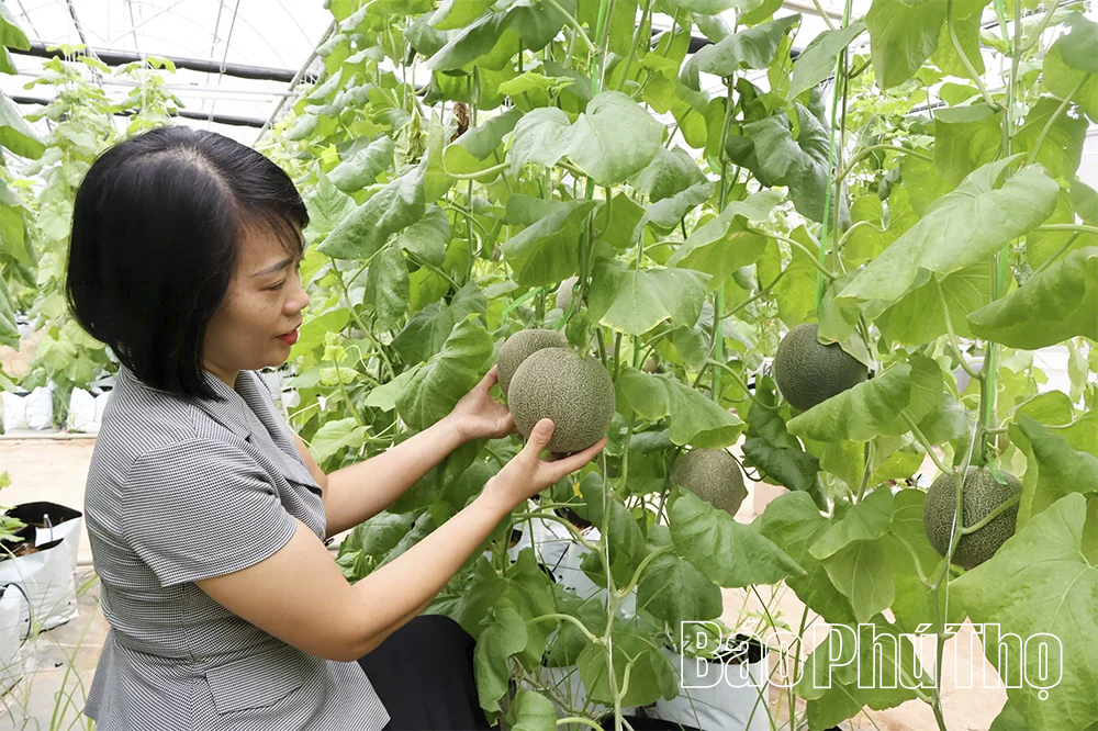 Khi khoa học công nghệ đồng hành cùng sản xuất