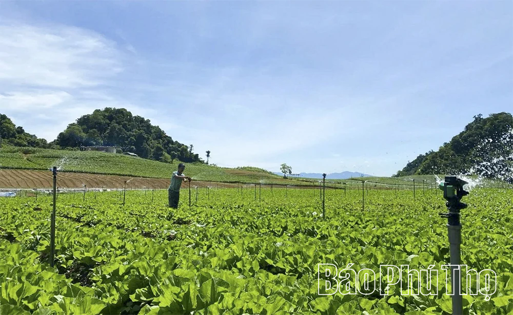 Khi khoa học công nghệ đồng hành cùng sản xuất