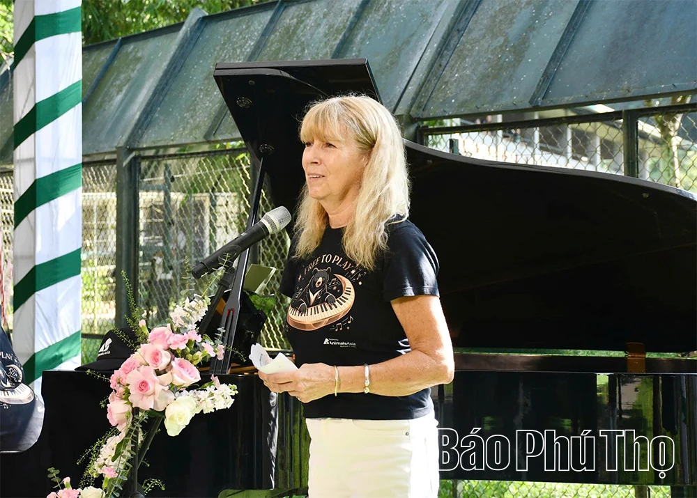 Biểu diễn piano dành tặng những cá thể gấu được giải cứu tại Vườn Quốc gia Tam Đảo