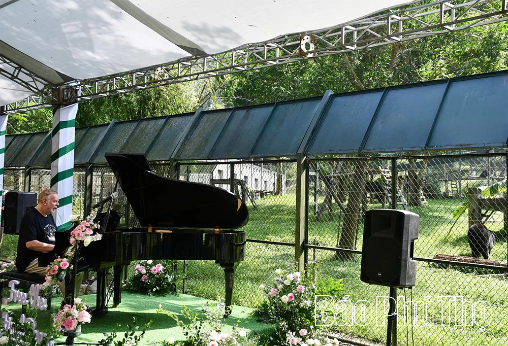 Biểu diễn piano dành tặng những cá thể gấu được giải cứu tại Vườn Quốc gia Tam Đảo