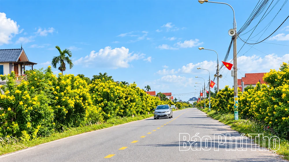 Rực rỡ sắc hoa Thu