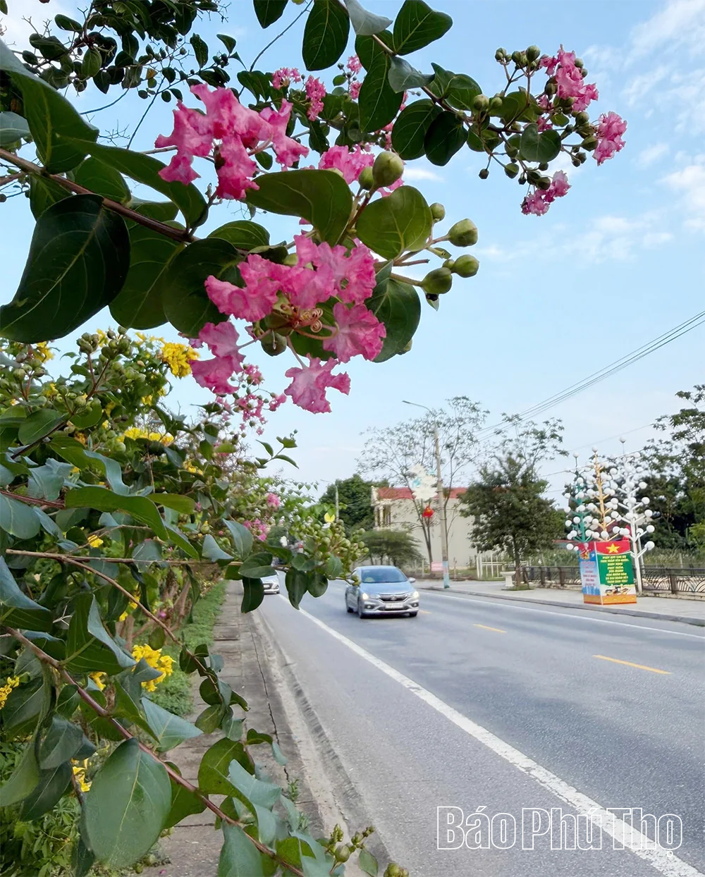 Rực rỡ sắc hoa Thu
