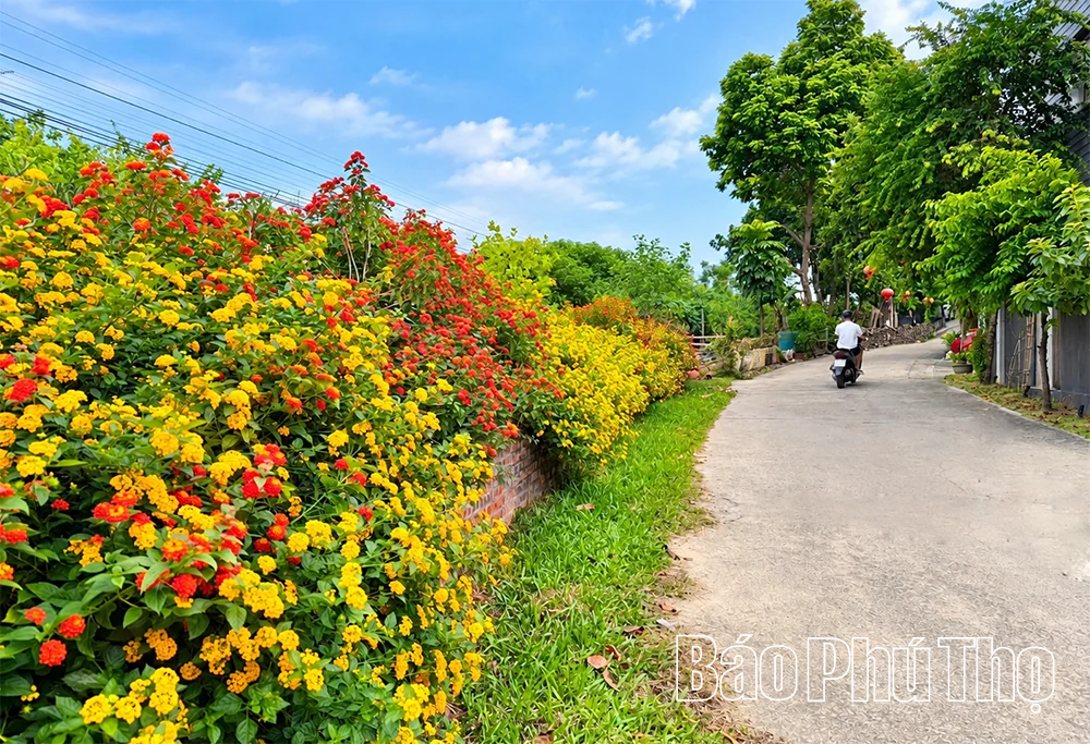 Rực rỡ sắc hoa Thu