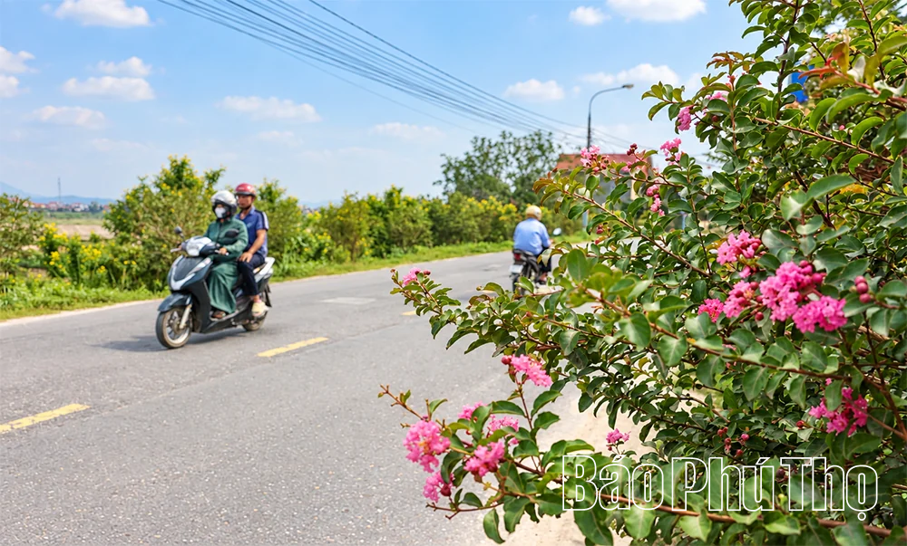 Rực rỡ sắc hoa Thu