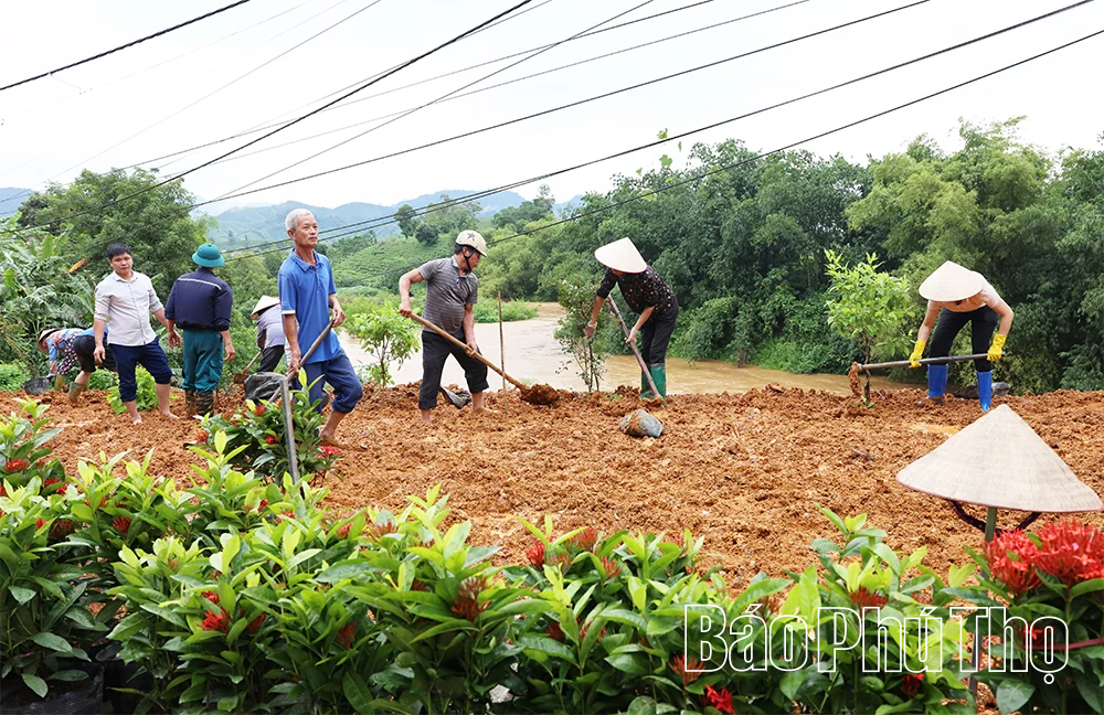 Rực rỡ sắc hoa Thu