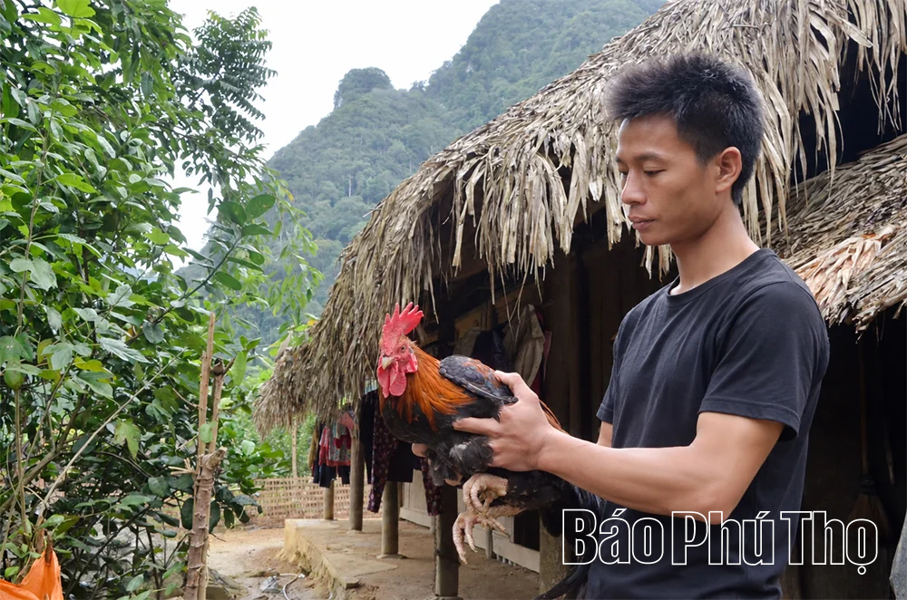 Du lịch xanh bắt đầu từ những việc nhỏ