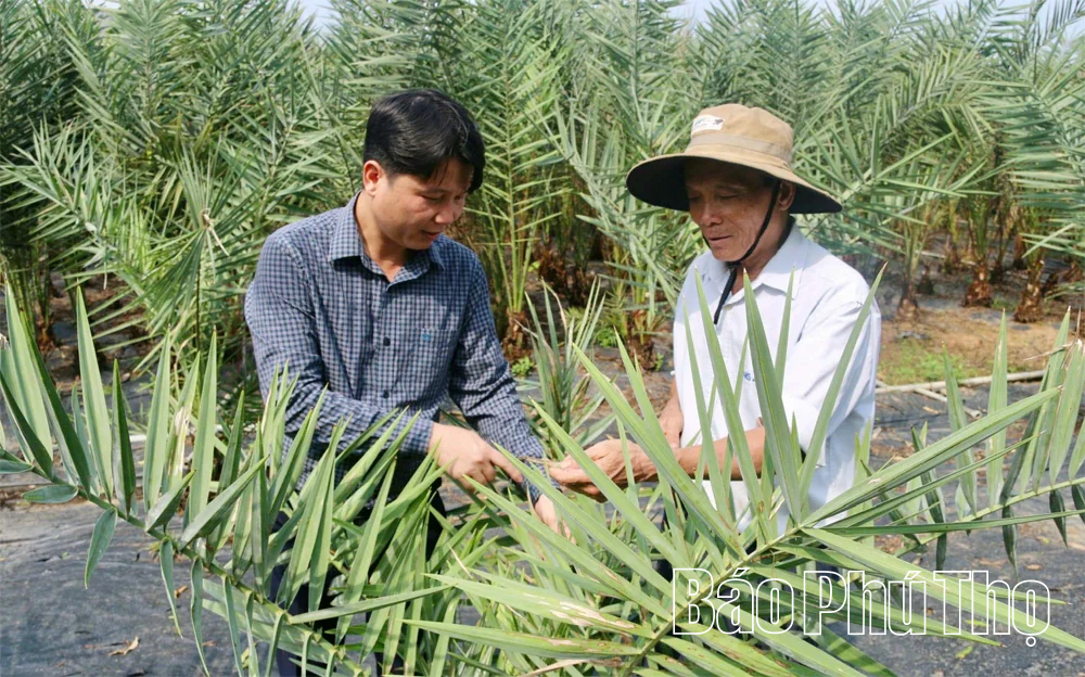 Nông dân thi đua sản xuất giỏi