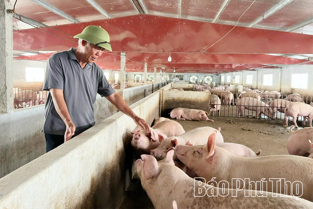 Nông dân thi đua sản xuất giỏi