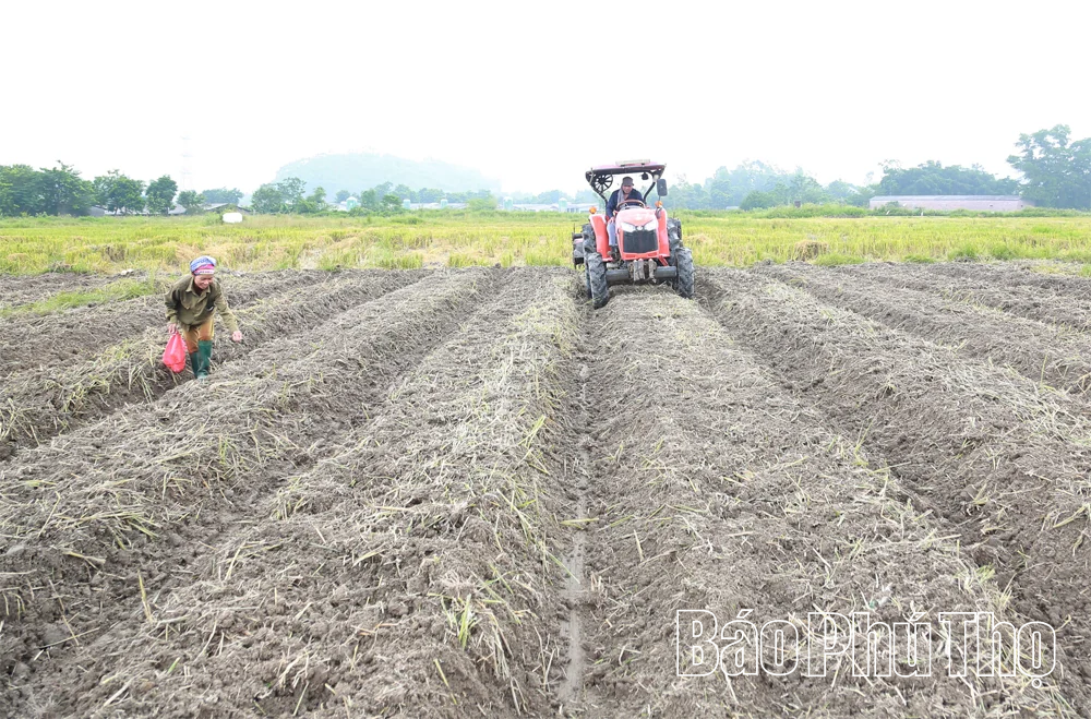 Chính sách dân tộc tiếp sức đồng bào Tam Đảo