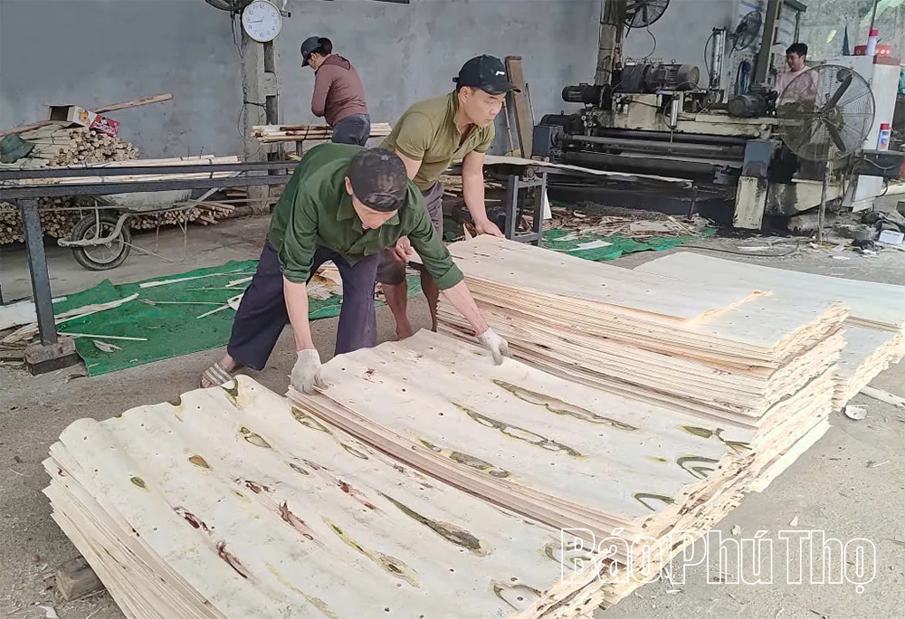 Để ngành chế biến gỗ phát triển bền vững