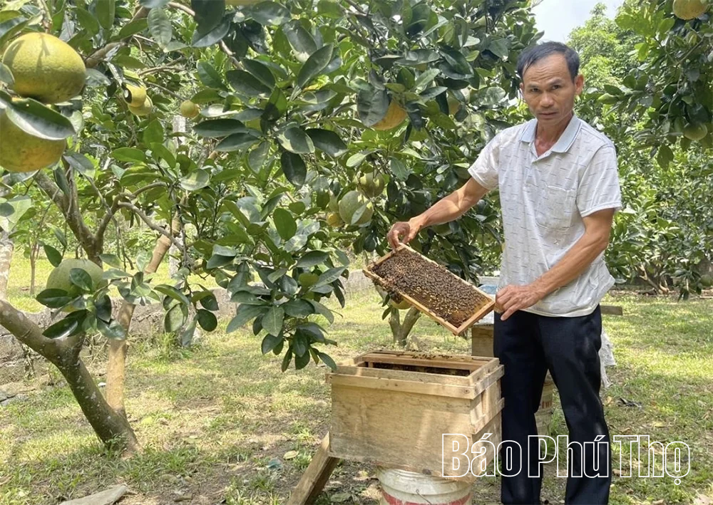 Mật ong Đoàn&nbsp;Kết&nbsp;- Vị ngọt từ núi rừng