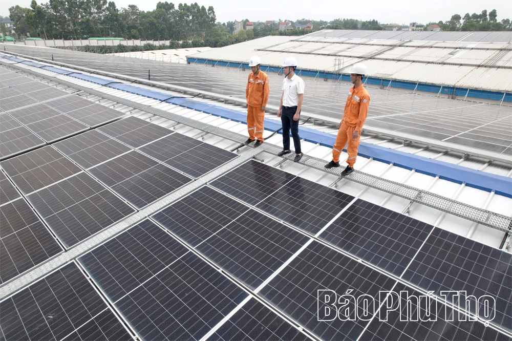 Xây dựng văn hóa tiết kiệm năng lượng: Lan tỏa hành động vì một tương lai xanh - Kỳ 2: Động lực chuyển đổi xanh vì một tương lai bền vững