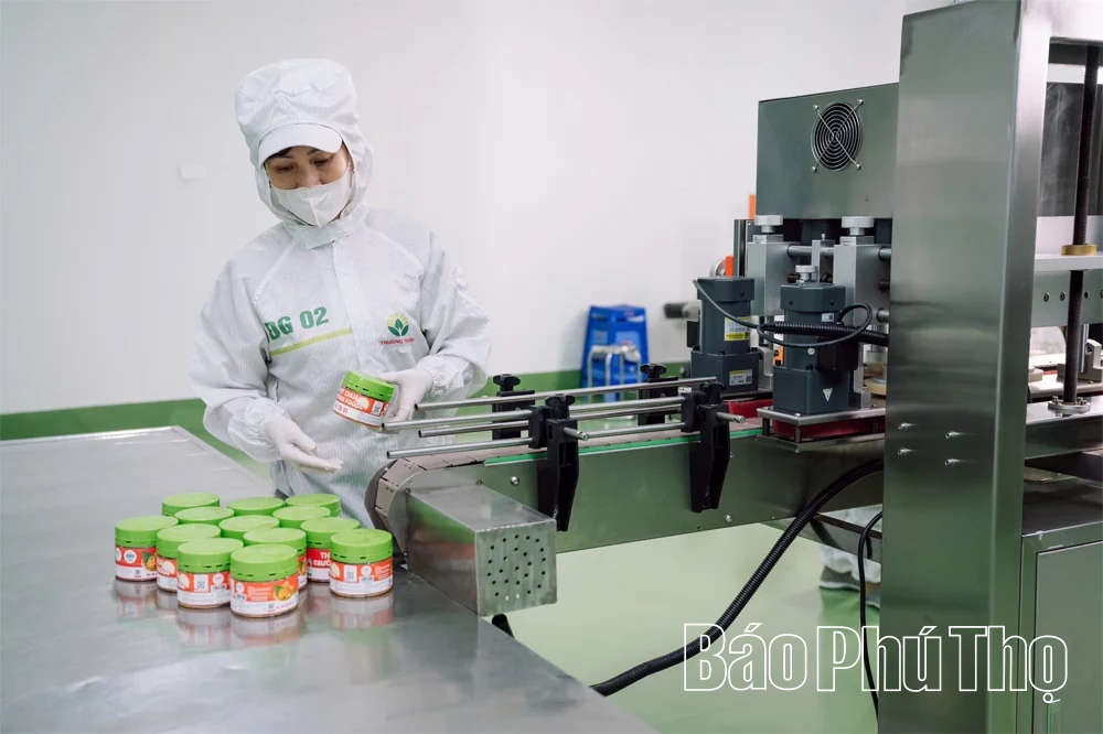Đậm đà hương vị thịt chua