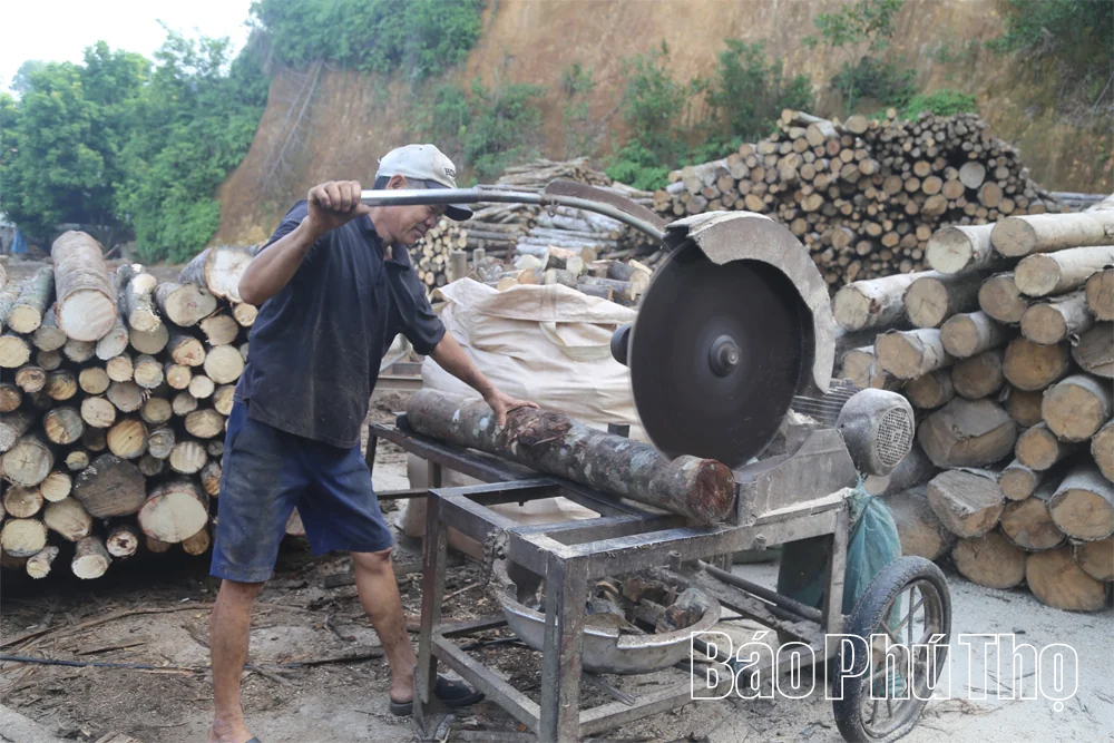 Phát triển nghề chế biến gỗ ở Tây Cốc