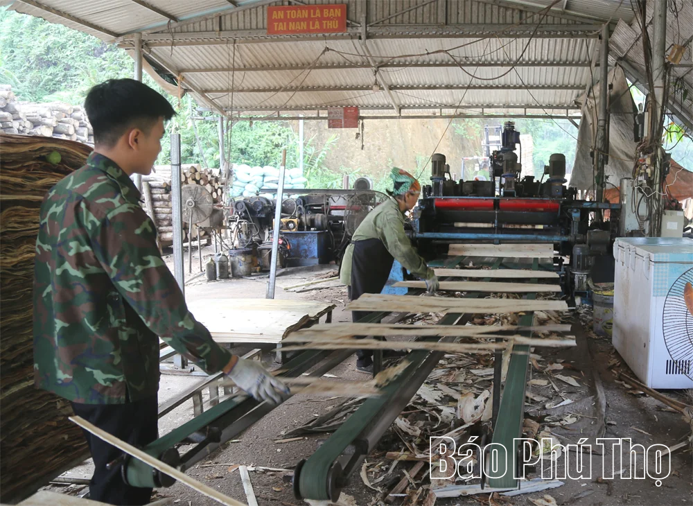 Phát triển nghề chế biến gỗ ở Tây Cốc