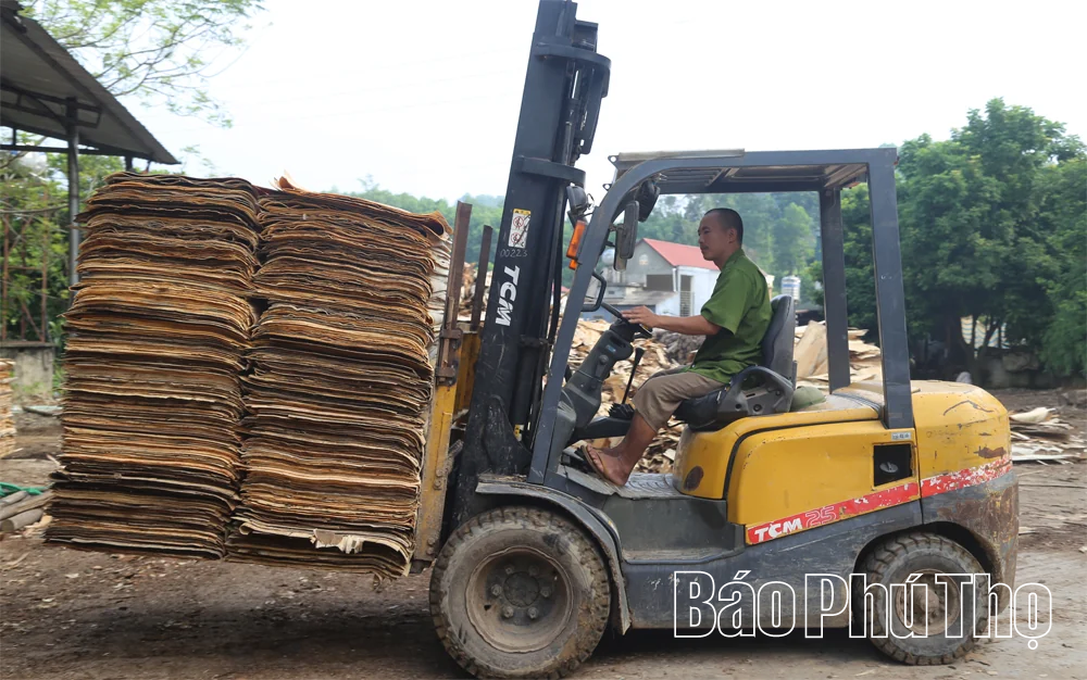 Phát triển nghề chế biến gỗ ở Tây Cốc